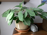 P1430100
