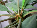 P1430101