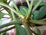 P1430102