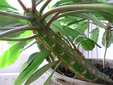 P1430103