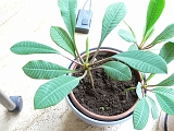 p1010033