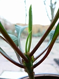 p1010038