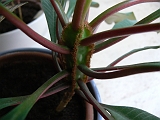 p1060044
