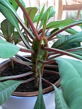 p1080001