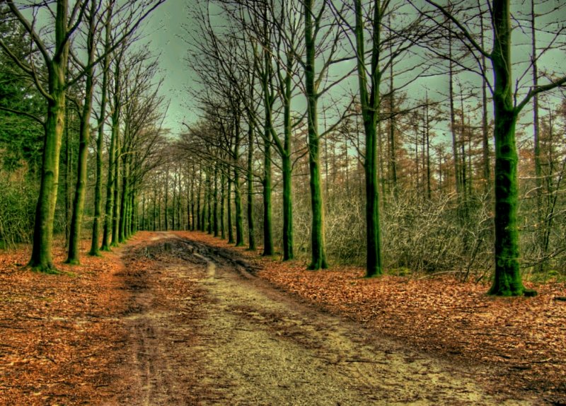 hdr_37_colored.jpg