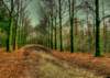hdr_37_colored_small.jpg